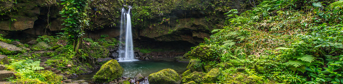 Dominica Naturerlebnisse